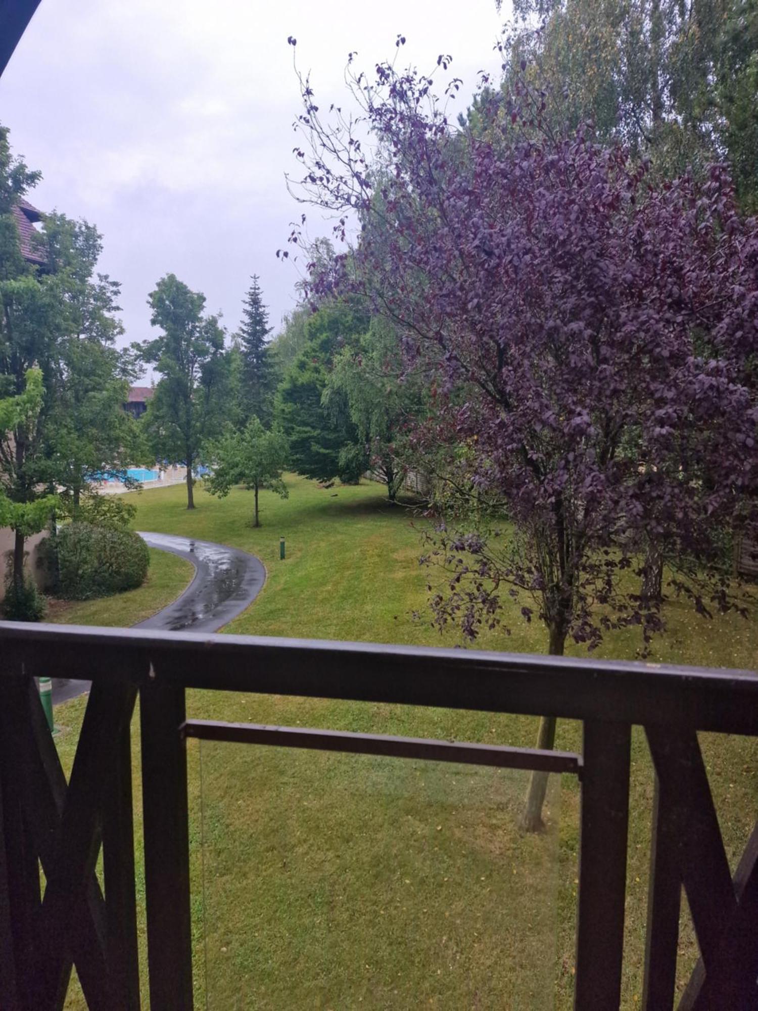 Appart 2 Chambres Piscine Chez Rox - Residence Du Golf 多维尔 外观 照片